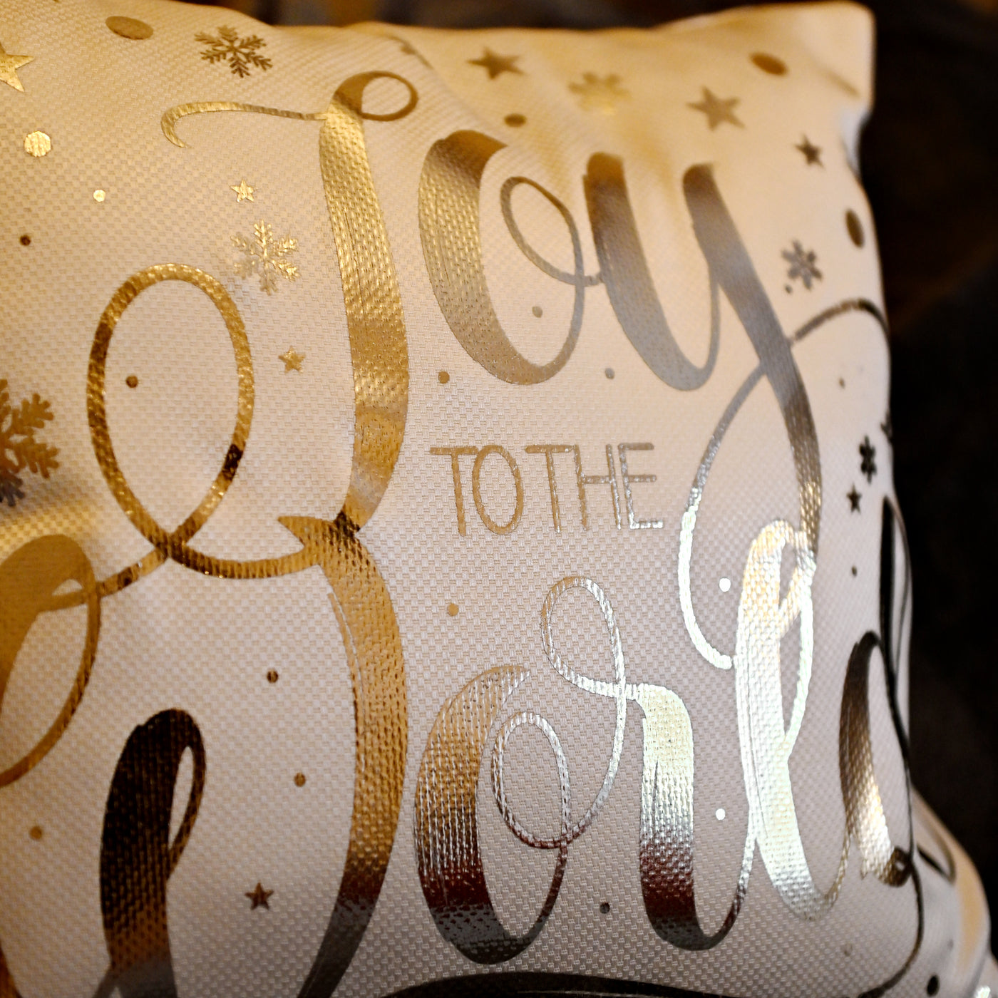 Cushion Joy To The World Silver